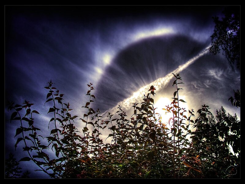 Sunlight Through Clouds — Blue, Dramatic, Sunset, Photograph, Plants