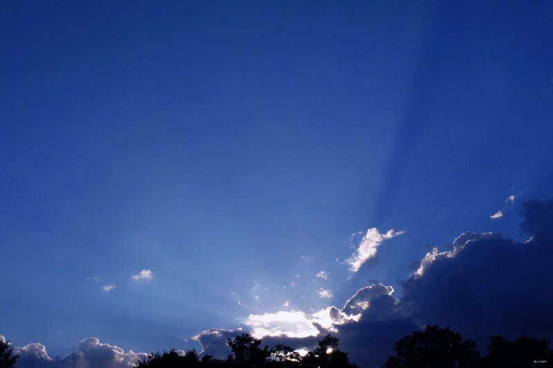 Sunlight Through Clouds — Blue, Dramatic, Sunset, Photograph, Trees, Sun