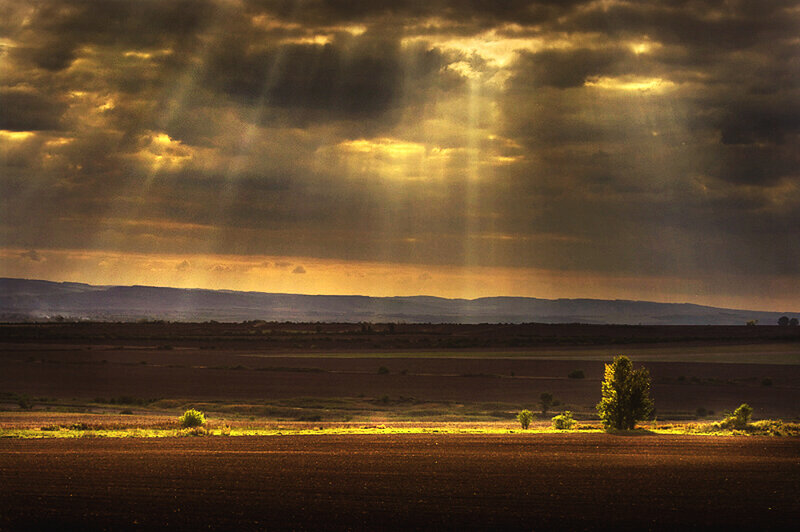 Sunlight Through Clouds — Brown, Dramatic