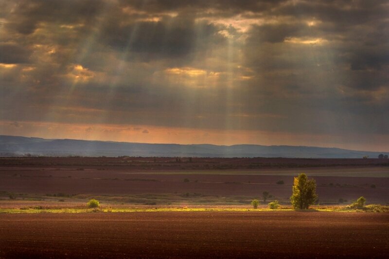 Sunlight Through Clouds — Brown