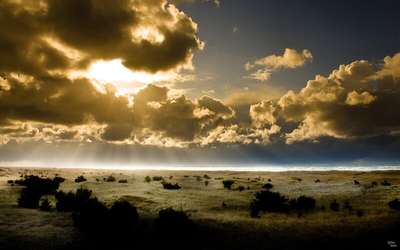 Sunlight Through Clouds — Gold, Dramatic, Sunrise, Photograph, Sky, Beach, Vegetation