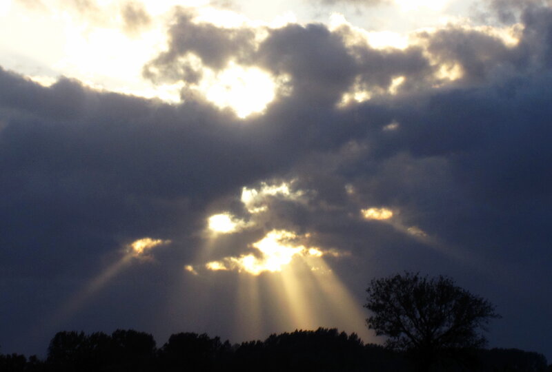 Sunlight Through Clouds — Gray, Dramatic, Sunset, Photograph, Trees, Sunbeams
