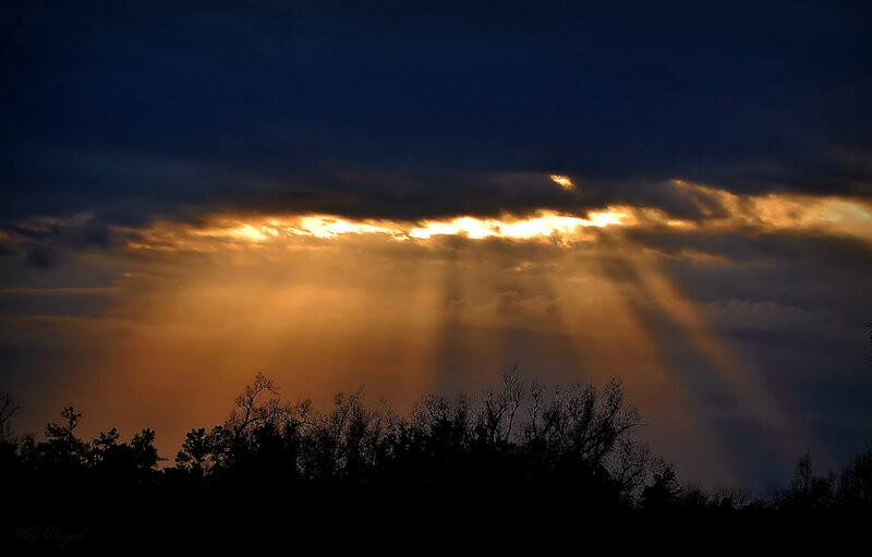 Sunlight Through Clouds — Orange, Dramatic, Sunset, Photograph, Trees