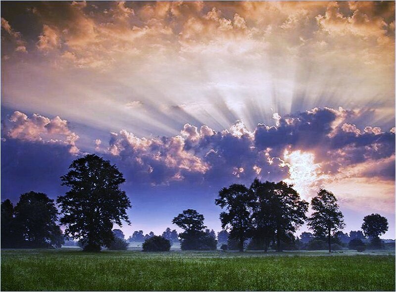 Sunlight through clouds over a field