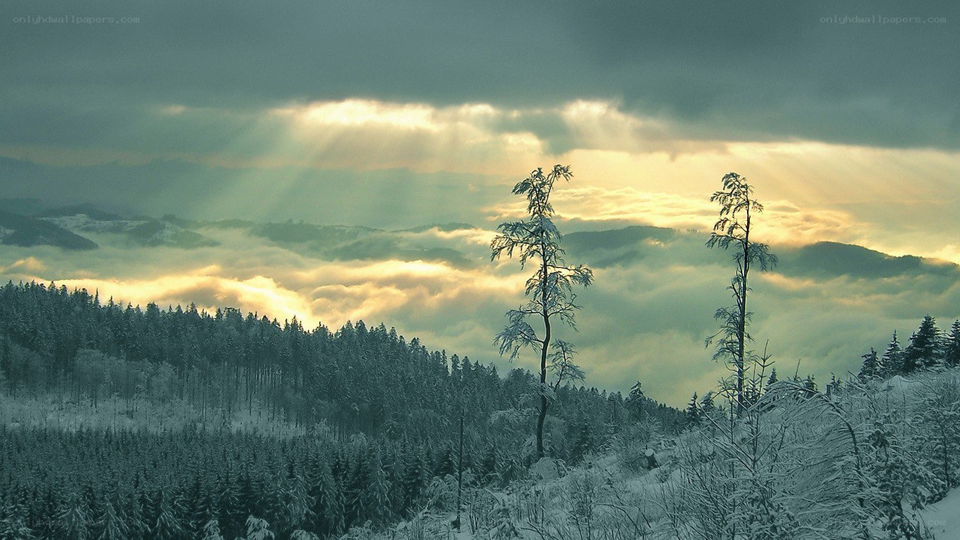 Sunlight through clouds over snowy forest