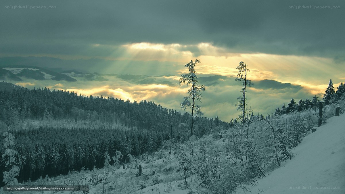 Sunlight through clouds over snowy forest
