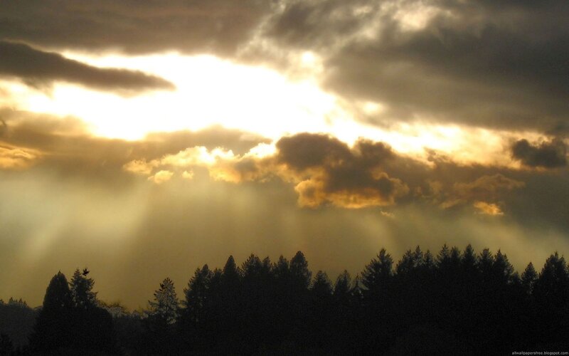 Sunlight Through Clouds — Trees