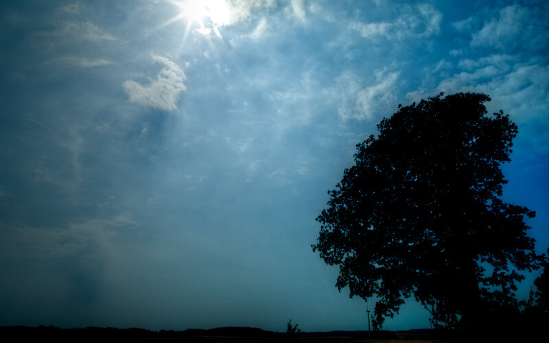 Sunlight through clouds with tree silhouette