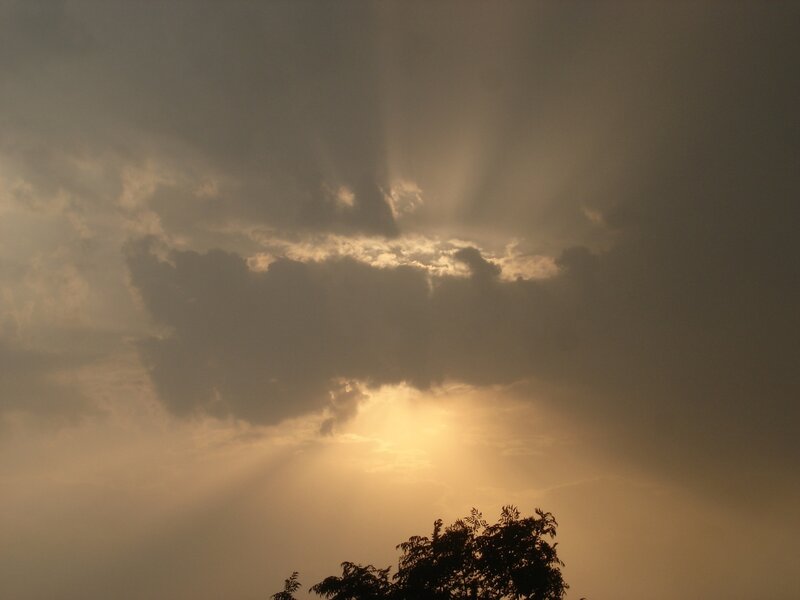Sunlight Through Clouds — Yellow, Dramatic, Sunset, Photograph, Tree