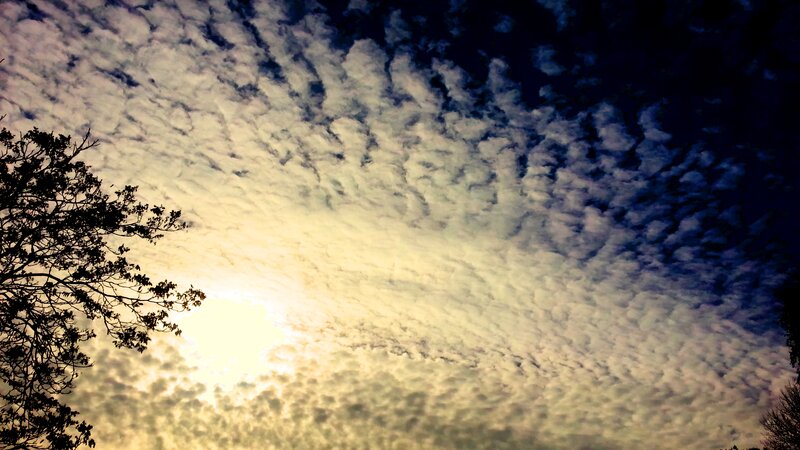 Sunlight Through Clouds — Yellow, Dramatic, Sunset, Photograph, Trees, Sky