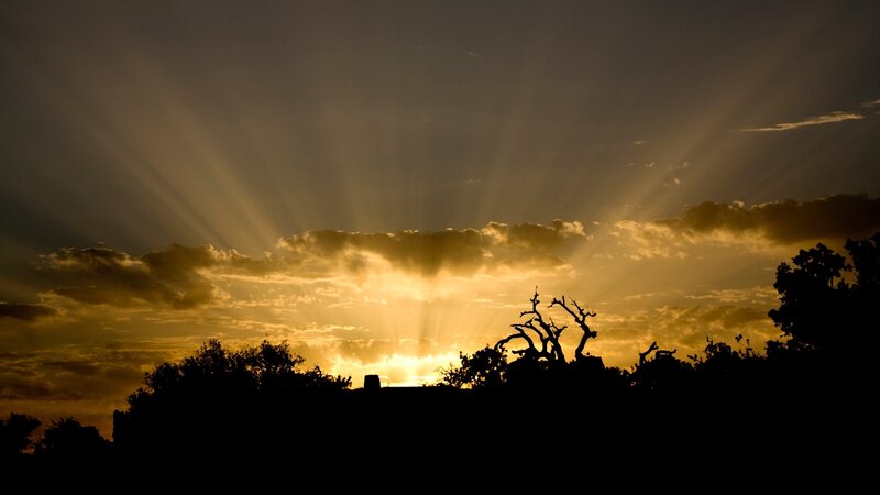 Sunlight Through Clouds — Yellow, Dramatic, Sunset, Photograph, Trees, Sun