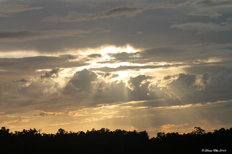Sunlight Through Clouds — Yellow, Dramatic, Sunset, Photograph, Trees, Sunbeams