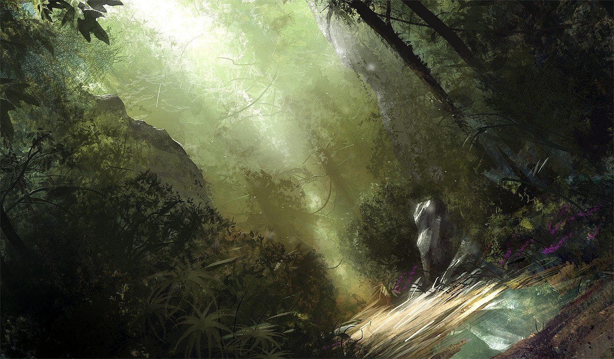 Sunlight through dense forest