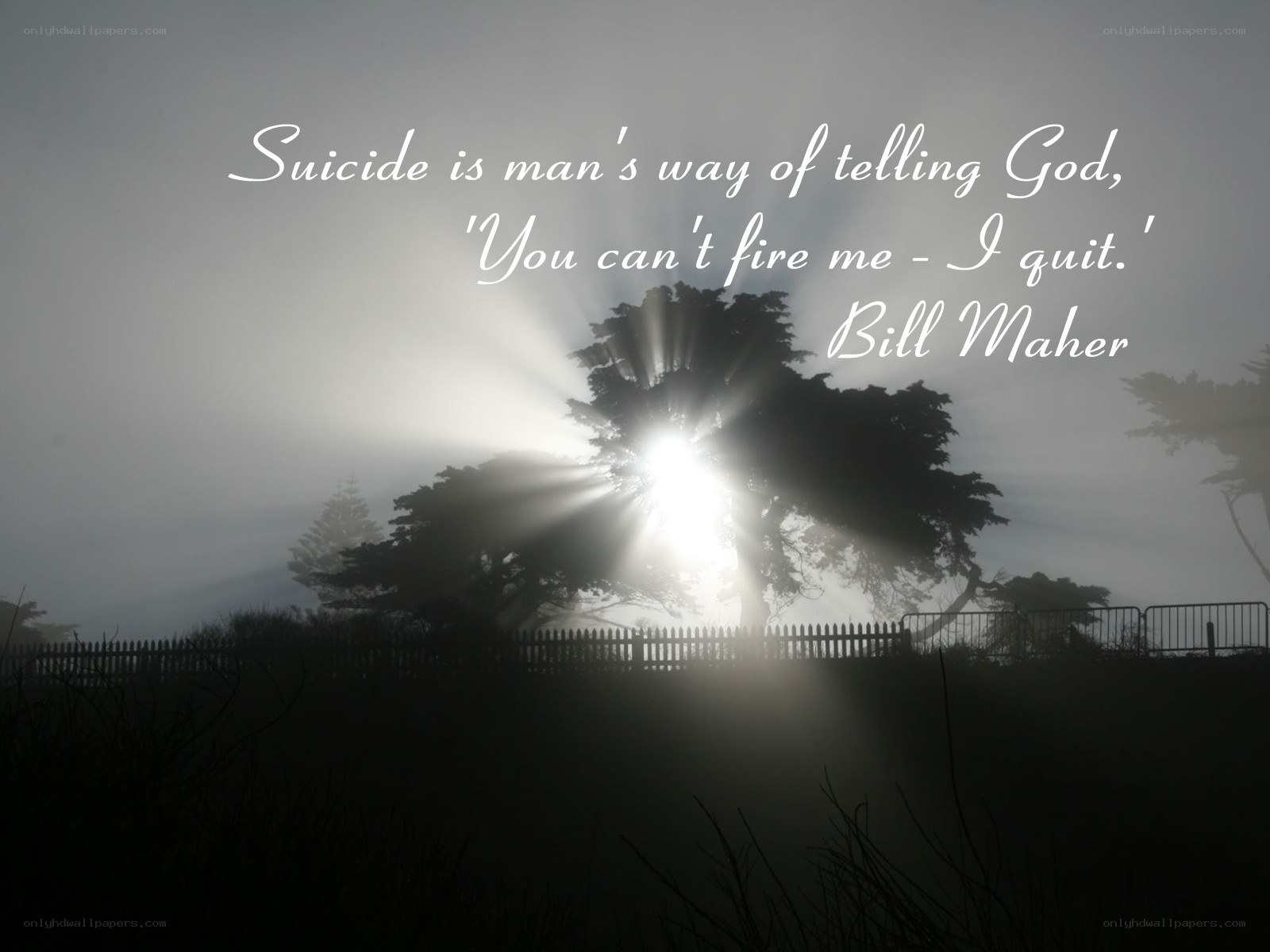 Sunlight through fog with quote
