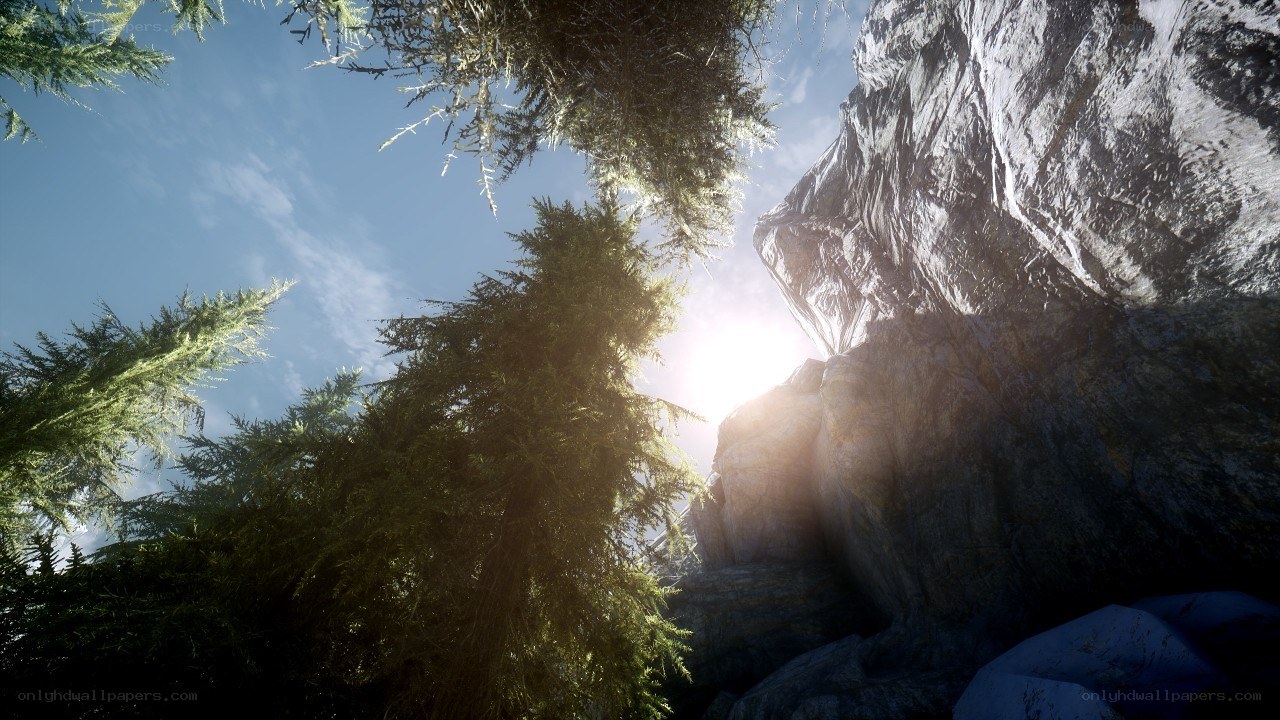 Sunlight through forest and rocks