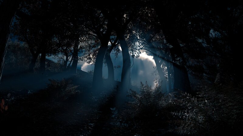 Sunlight Through Forest — Black, Dark