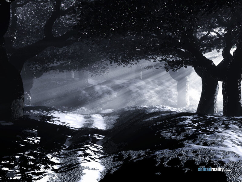 Sunlight Through Forest — Black, Dramatic, Night, Digital Art