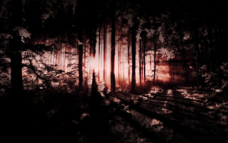 Sunlight Through Forest — Black, Dramatic, Sunset