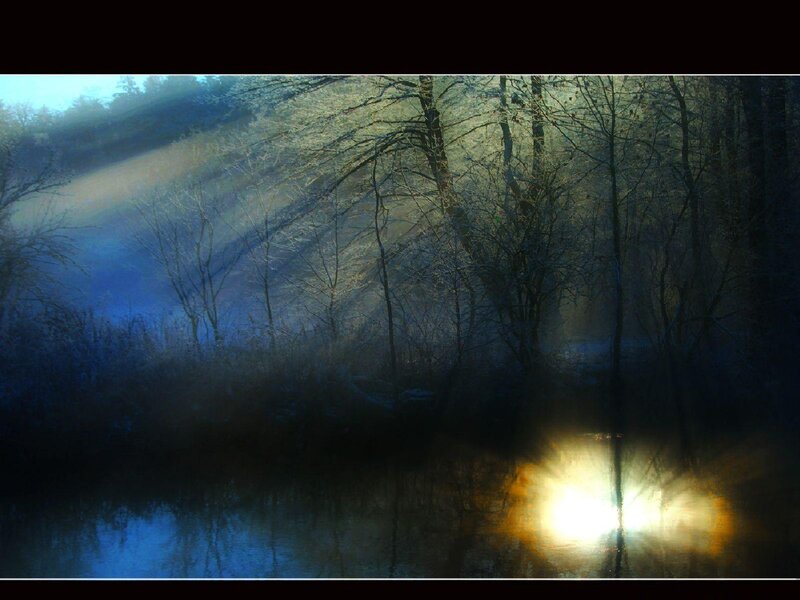 Sunlight Through Forest — Blue, Dramatic, Morning, Photograph, Trees, River