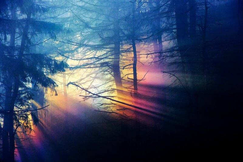 Sunlight Through Forest — Blue, Dramatic, Sunrise