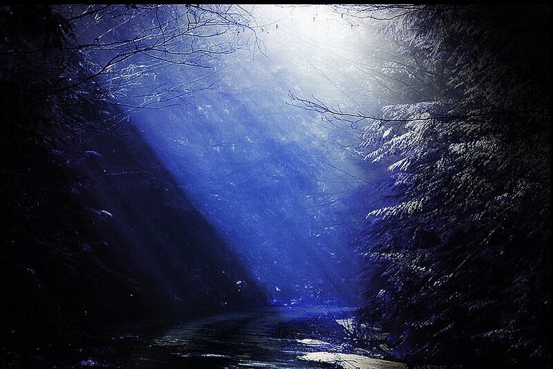 Sunlight Through Forest — Blue, Dramatic