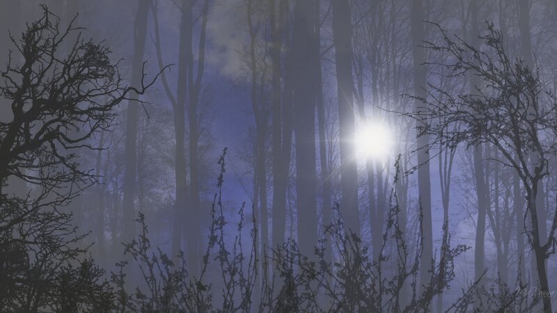 Sunlight Through Forest — Blue, Mysterious, Night