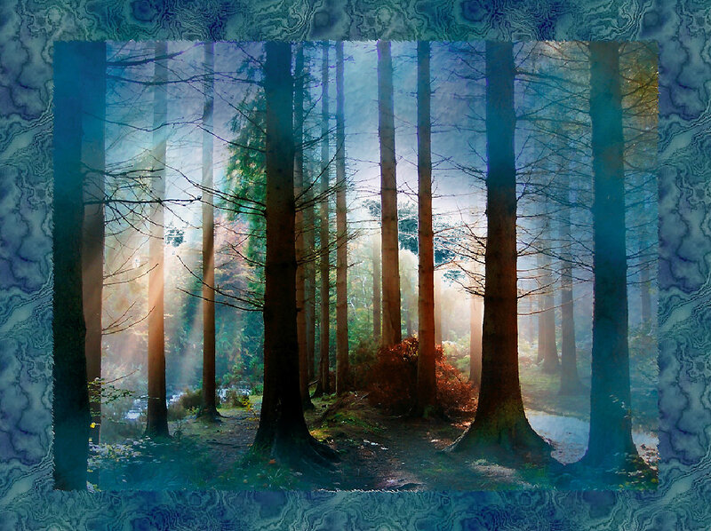 Sunlight Through Forest — Blue, Serene, Morning, Digital Art