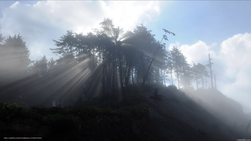 Sunlight Through Forest — Blue, Serene, Morning, Photograph, Trees, Fog, Mountain