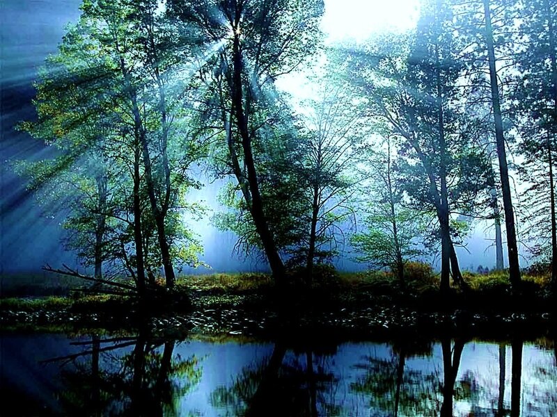 Sunlight Through Forest — Blue, Serene, Morning, Photograph, Trees, River, Sunbeams