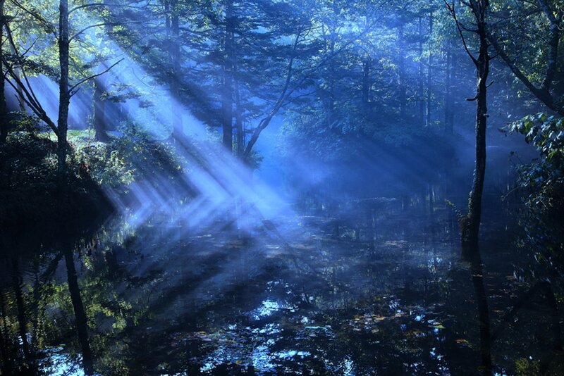 Sunlight Through Forest — Blue, Serene, Morning, Photograph, Trees, River