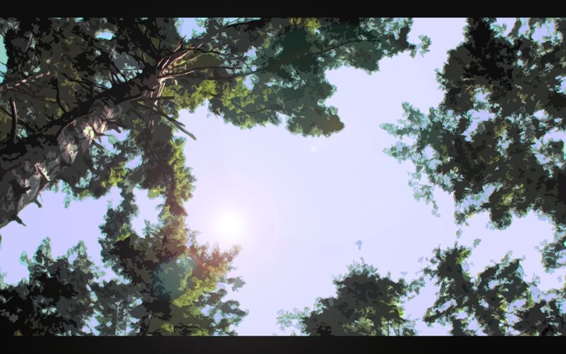 Sunlight through forest canopy