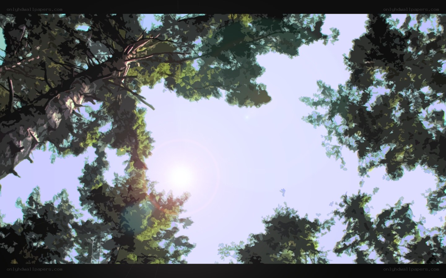 Sunlight through forest canopy