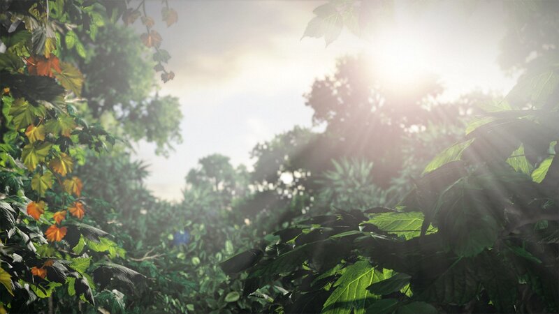 Sunlight through forest canopy