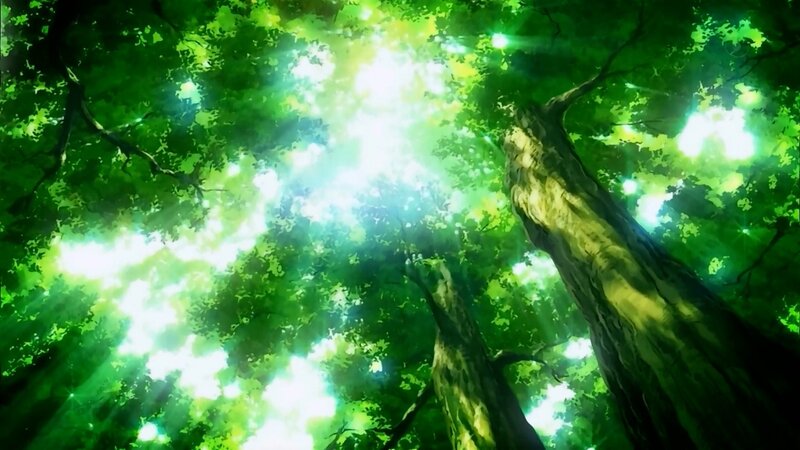 Sunlight through forest canopy