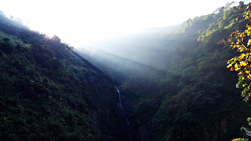 Sunlight Through Forest Canyon — Green