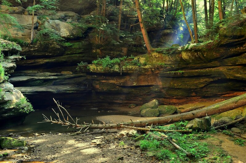Sunlight through forest canyon