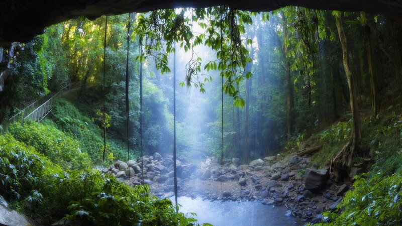 Sunlight through forest cave