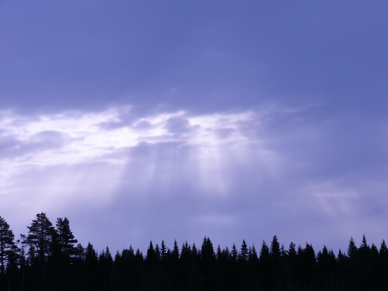 Sunlight through forest clouds