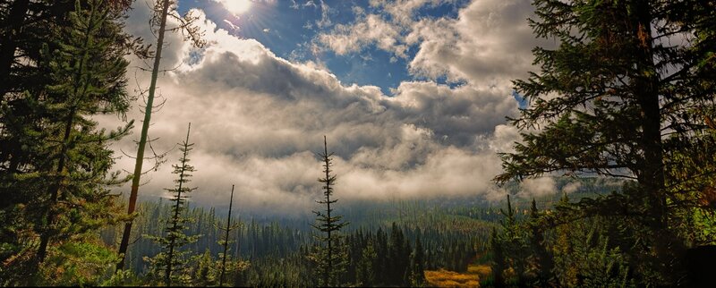 Sunlight through forest clouds