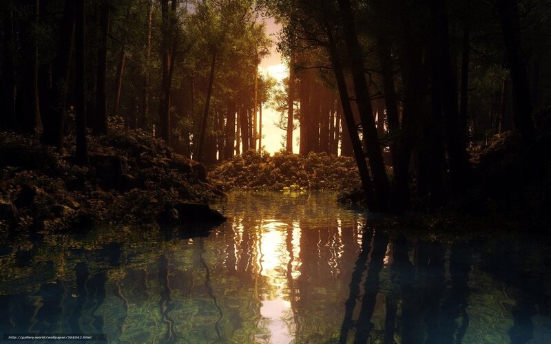 Sunlight Through Forest — Gold, Serene, Sunset, Digital Art, River