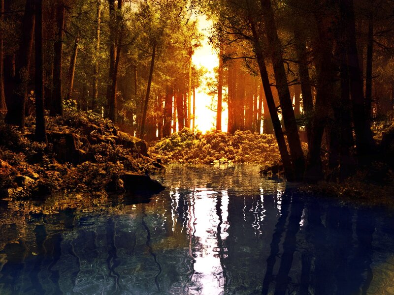 Sunlight Through Forest — Gold, Serene, Sunset, Digital Art