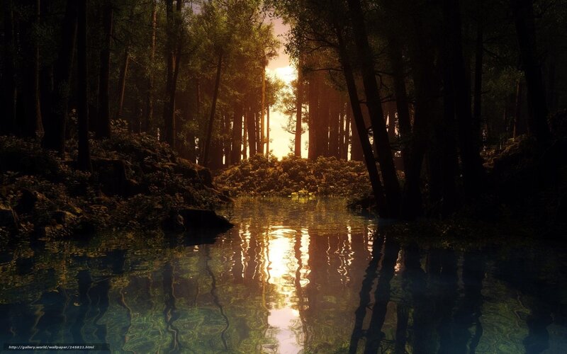 Sunlight Through Forest — Gold, Serene, Sunset, Digital Art, Trees