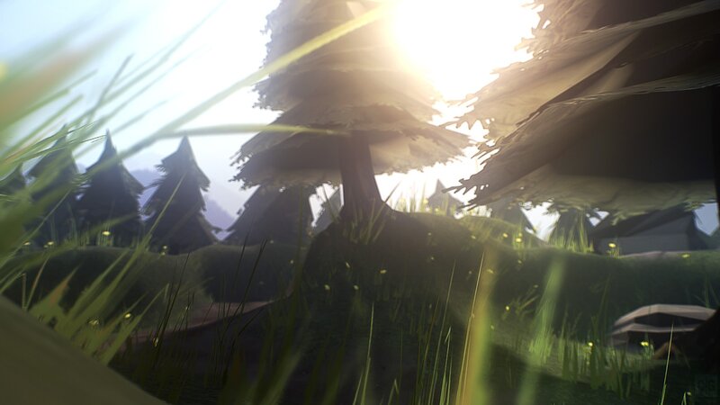 Sunlight through forest grass