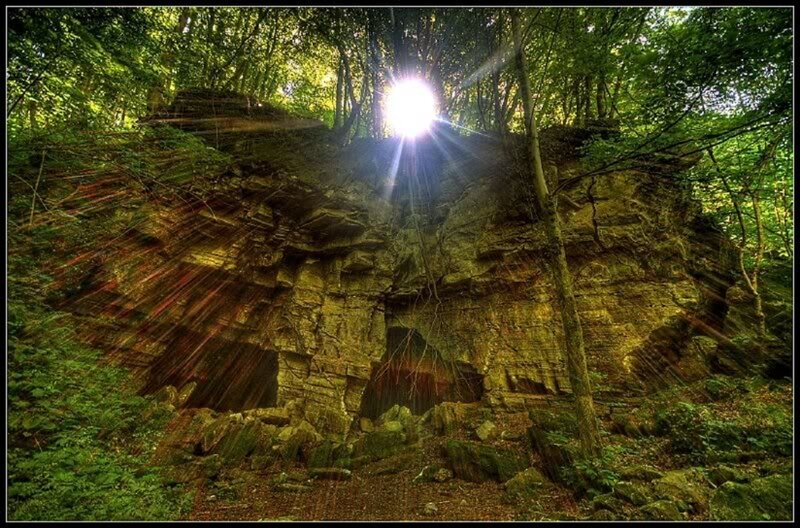 Sunlight Through Forest — Green, Dramatic, Afternoon, Photograph, Trees