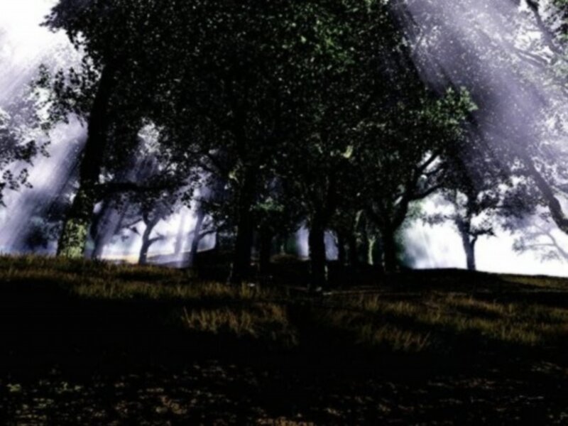 Sunlight Through Forest — Green, Dramatic, Morning, Digital Art, Trees, Grass, Light Rays