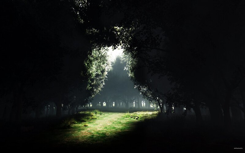 Sunlight Through Forest — Green, Dramatic, Morning, Digital Art, Trees