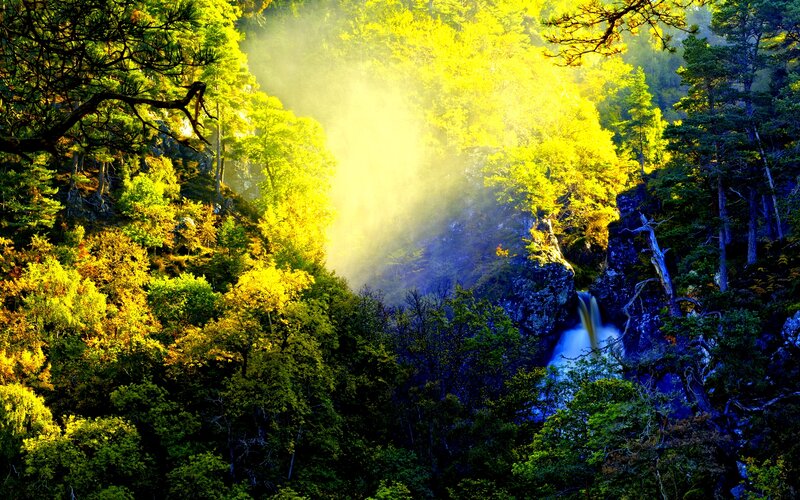 Sunlight Through Forest — Green, Dramatic, Morning, Photograph, Trees, Waterfall