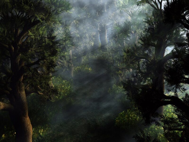 Sunlight Through Forest — Green, Mysterious, Morning, Digital Art