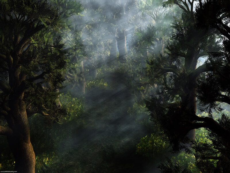 Sunlight Through Forest — Green, Mysterious