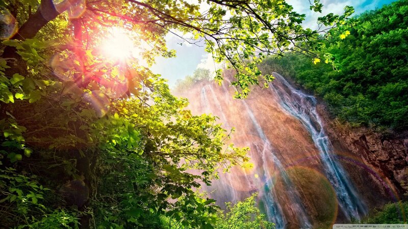 Sunlight Through Forest — Green, Serene, Afternoon, Photograph, Trees, Waterfall